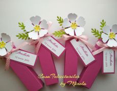 Marturii Botez Fata Breslo