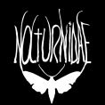 Nocturnidae