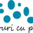 Tablouricupietre