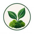Greentouch.ro